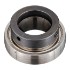 Picture of 1-3/4" Mounted Eccentric Bearing Insert