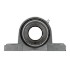 Picture of 2-3/16" Eccentric Mounted Pillow Block Bearing