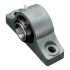 Picture of 1-15/16" Type E Expansion 2 Bolt Pillow Block Heavy Duty Bearing