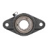 Picture of 1-3/8"Narrow Setscrew Locking 2 Bolt Flange Mounted Bearing