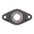 Picture of 3/4"Narrow Setscrew Locking Non-Greaseable 2 Bolt Flange Bearing