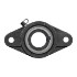 Picture of 1-3/16"Narrow Eccentric Collar 2 Bolt Flange Mounted Bearing