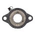 Picture of 1"Light Duty Setscrew Locking 2 Bolt Flange Mounted Bearing