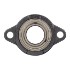 Picture of 1"Light Duty Setscrew Locking Non-Greaseable 2 Bolt Flange Bearing