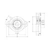 Picture of Light Duty Eccentric Collar 2 Bolt Flange