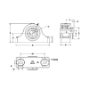 Picture of High Temperature S2000 2 Bolt Pillow Block