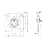 Picture of Non-Greaseable Narrow Setscrew Locking 4 Bolt Flange
