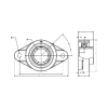 Picture of IP69K Plastic 2 Bolt Flange Food Safe Bearing