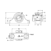 Picture of Heavy Duty Double Collar S2000 2 Bolt Pillow Block