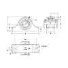 Picture of Heavy Duty Double Collar Type E 2 Bolt Pillow Block