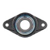 Picture of 2-Bolt Flange HT1000 Carbon Sleeve Bearing